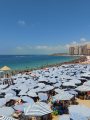 تدفق رحلات اليوم الواحد