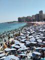 شواطئ الإسكندرية شواطئ الإسكندرية