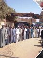 الشباب والمرأة يتصدرون المشهد في انتخابات مجلس الشيوخ