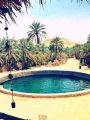 عيون المياه الطبيعية - واحة سيوة