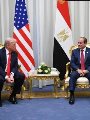 السيد الرئيس عبد الفتاح السيسى والرئيس الأمريكى دونالد ترامب
