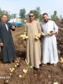 فرحة المزارعين بمحصول البطاطس