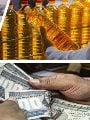 الدعم النقدى يمثل الخيار الأفضل اقتصاديًا