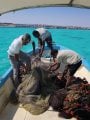 دوريات رصد للشباك المخالفة فى البحر الأحمر 