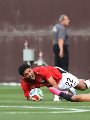 منتخب مصر والبرازيل