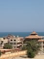سيناء