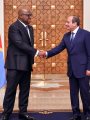 السيد الرئيس عبد الفتاح السيسي
