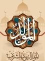 المولد النبوى الشريف 