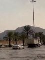 المدينة المنورة 