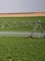 التوسع في زراعة المحاصيل الاستراتيجية وزيادة الإنتاج المحلي