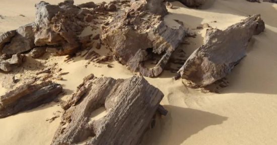 «الغابة المتحجرة» شاهد عيان على حضارة الفيوم منذ 34 مليون سنة.. تقع بمنطقة جبل قطرانى وتعتبر من أهم المناطق الجيولوجية فى أفريقيا.. ودراسات: التغيرات المناخية حولت الحياة البحرية بها إلى غابات كثيفة.. صور