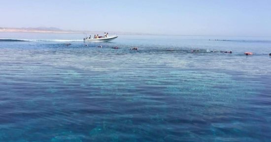 مرسى تنضبه.. الجمال الطبيعى جنوب مرسى علم ومأوى الكائنات البحرية.. صور