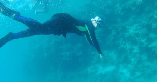 مع قرب رأس السنة.. رحلات وادى الجمال تضع مرسى علم بصدارة البرنامج السياحى.. من سنوركلينج حنكوراب إلى اللعب مع الدلافين فى سطايح تتشكل خريطة السياحة البحرية.. وقيلولة القلعان الخلابة وجهة عشاق الطبيعة.. صور