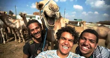 "الأصيل يتعرف من خامس جد".. حكايات من داخل سوق الجمال ببرقاش.. الجمل اللى صاحبه معززه وعيونه مكحلة ميرضاش بالذل.. وتاجر: بنعرف أصلهم من نظرة و"البشارية" مضرب مثل.. و"الرفاعية" خيرها كتير