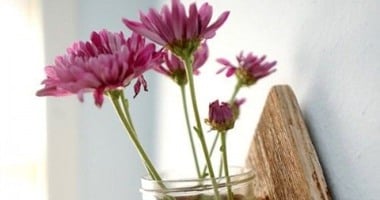 بالصور.. أوانى زهور مبتكرة تخرج من أدوات مطبخك