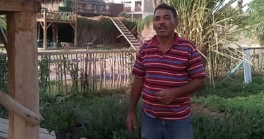 "أبو جبل" عاشق الأعشاب: شاهد اللوحات قبل الشراء