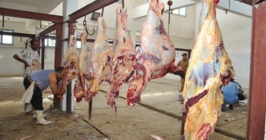 مدير الطب البيطرى بالجيزة: رفع الطوارئ وإلغاء الإجازات استعدادا لعيد الأضحى
