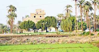 إمبراطورية النخيلة.. أسطورة «صعيدية» لا تنتهى .."اليوم السابع" فى معقل «عزت حنفى».. وأسرته تتحدث لأول مرة بعد 10 أعوام من اقتحام الأمن لـ«الجزيرة»...منزله تحول لنقطة شرطة