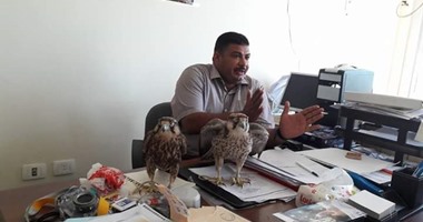 بالصور.. ضبط مسن بحوزته صقرين "الحر النوبى" وأفيون فى البحر الأحمر