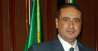 أمين مجلس الدولة:الإدارية العليا مازالت منعقدة ولم يصدر منها أحكام بالطعون