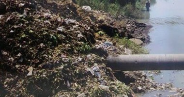 دراسة: نصف الوفيات العالمية الناجمة عن التلوث فى 2015 بالصين والهند