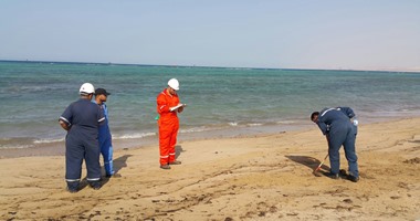 "السياحة و الشواطئ" بالإسكندرية: محاصرة بقعة زيت فى أبو تلات وجارى إزالتها