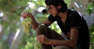وول ستريت جورنال: "داعش" يغير من دعايته الإعلامية وتراجع محتوى العنف لـ2%