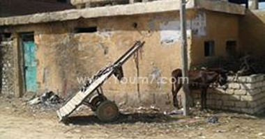 صحافة المواطن.. الجمعية التعاونية فى قرية العراق بالإسكندرية تتحول لـ"زريبة"