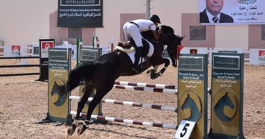 بالصور.. منافسات اليوم الأول لبطولة الجمهورية للفروسية