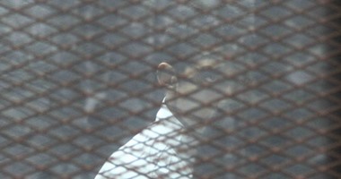 ممثل النيابة يتلو أمر الإحالة فى حق المتهمين الجدد بقضية "تنظيم أجناد مصر"