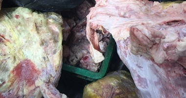 بالصور.. ضبط 5 أطنان "هياكل دواجن" غير صالحة للاستخدام الآدمى فى الخصوص