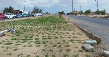 "الزراعة" تطرح 10 آلاف فدان ببئر العبد بسيناء للبيع فى مزاد علنى اليوم