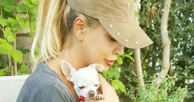 بالصور..النجمات على إنستجرام..نوال الزغبى تحتضن كلبتها وتؤكد: آخر الموضة..نجوى فى طريقها لـ"StarsOnBoard"..أحلام تشكر جمهورها بمصر..نانسى عجرم فى أحد عروض الأزياء..شذى حسون من المغرب:"أنا فى الجنة"