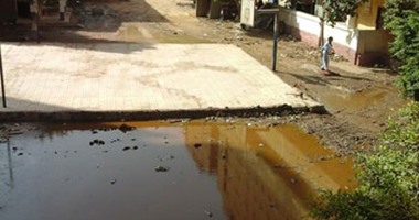 صحافة المواطن.. بركة من مياه الصرف تتوسط مدرسة ثانوية فى بهتيم