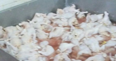 ضبط 20 طن زيت بمصنع دون ترخيص فى القليوبية