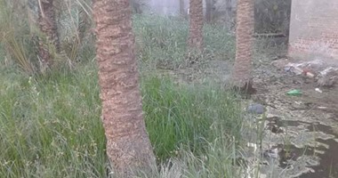 بالصور.. قرية برج مغيزل تغرق فى مياه الصرف الصحى