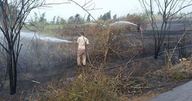 بالصور.. السيطرة على حريق نشب فى مخلفات زراعية بكفر الشيخ