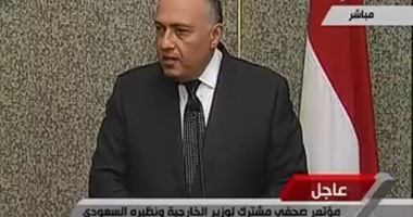 سامح شكرى:"الجزيرة" فقدت مصداقيتها وتسعى لإيهام العالم أن مصر غير آمنة