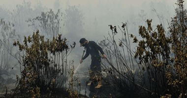 بالصور.. الأمطار تمنح إندونيسيا هدنة من الضباب الدخانى دون إخماد حرائق الغابات