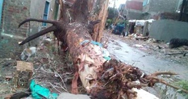بالصور.. الأمطار تدمر منازل قرية الجزيرة الخضراء بكفر الشيخ