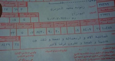 مواطن يحصل على فاتورة كهرباء بـ8 آلاف جنيه لشقة سكنية فى المحلة
