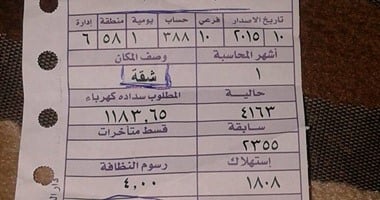 فى هذه الحالات يجب أن تلجأ لجهاز مرفق الكهرباء.. التفاصيل