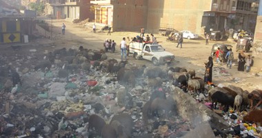 صحافة المواطن.. شكوى من تراكم القمامة أسفل كوبرى الدائرى فى بشتيل