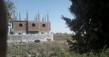 احذر.. الحبس والغرامة عقوبة التعدى على الأراضى الزراعية