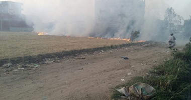 الرقابة الإدارية بكفر الشيخ ترصد مخالفات حرق قش الأرز بقرى بر بحرى