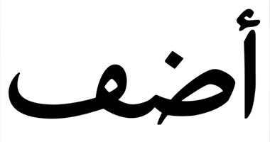 الحق فى السكن والحكم المحلى.. ندوة بمؤسسة" أضف"