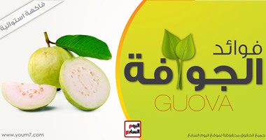 بالإنفوجراف.. تعرف على الفوائد المذهلة لثمرة الجوافة.. تقى من السرطان.. مطهر طبيعى ومضاد للبكتيريا.. تساوى أربع أضعاف البرتقال والتفاح