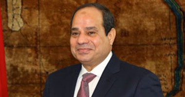 سعيد اللاوندى: السيسى سيناقش "سد النهضة" خلال شهرين وليس فى القمة الأفريقية