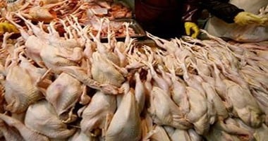 ضبط 180 كيلو جرام لحوم ودواجن غير صالحة للاستهلاك الآدمى فى أسوان