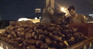 بالصور المتحركة.. بياعين "الدفا" يبدأون رحلة "الشتاء والبرد".. عم أحمد 20 سنة فى البطاطا لأنها "حنينة".. وأم يحيى رحلة "كوز" الدرة أبو 2 جنيه بدأت بقرش صاغ.. وشريف بينشط السياحة بكوباية "حمص شام"